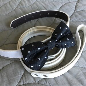 dog accessories - collar with a bow and leash
